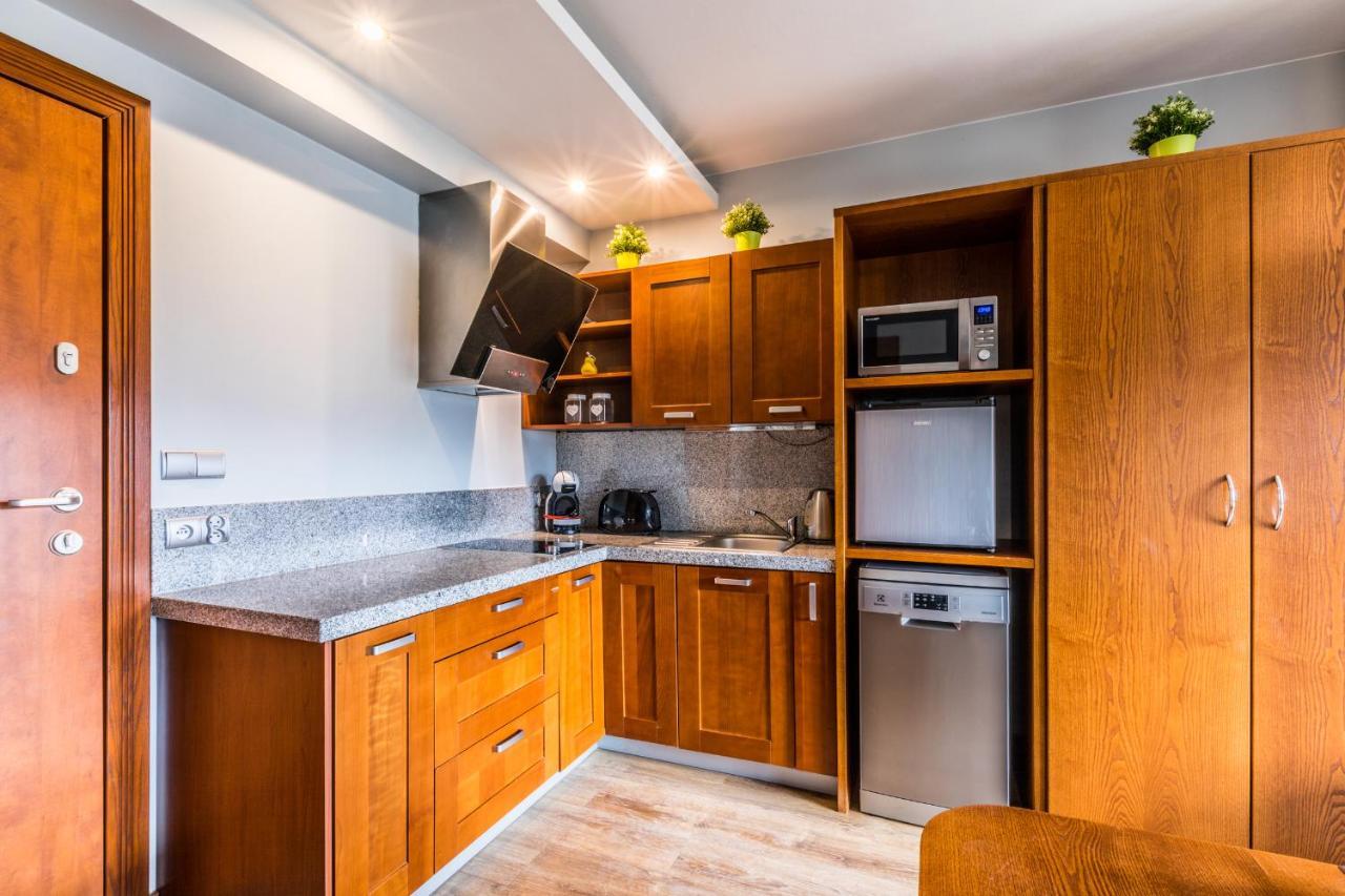 Apartament Srebrzysty Tatary Zakopane Buitenkant foto